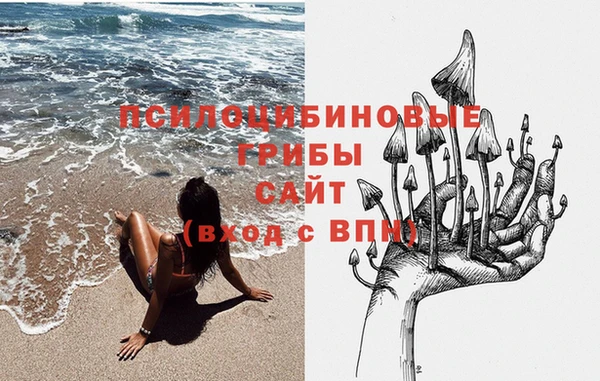 спиды Алексин